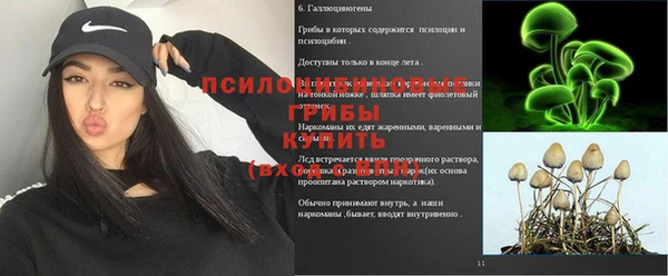 амф Беломорск
