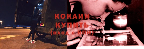 крисы Чегем