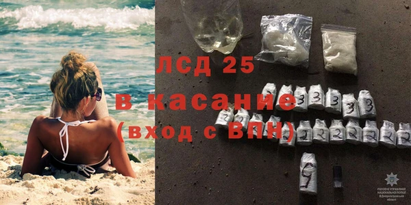 крисы Чегем