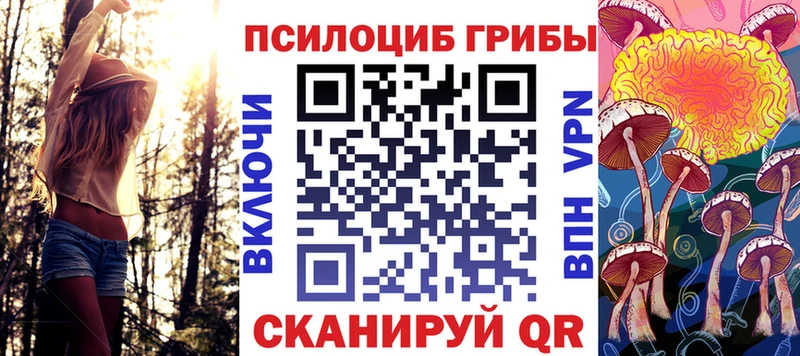 Галлюциногенные грибы Psilocybe  где купить наркоту  Белокуриха 